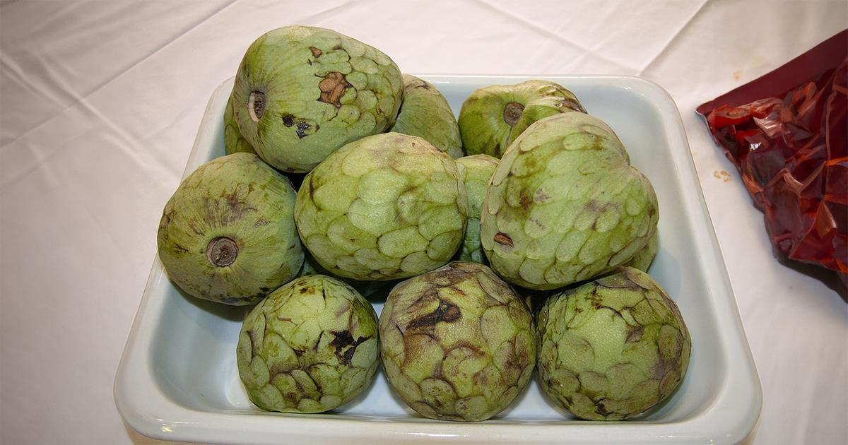 Cherimoya - egzotyczny skarb Hiszpanii