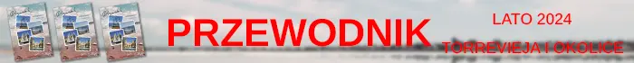 Przewodnik
